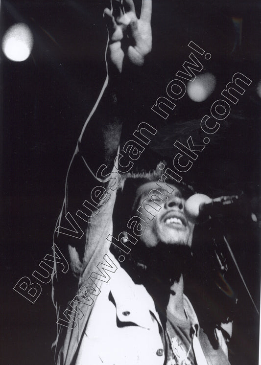 bob marley leni sinclair detroit 1976 greeting cards