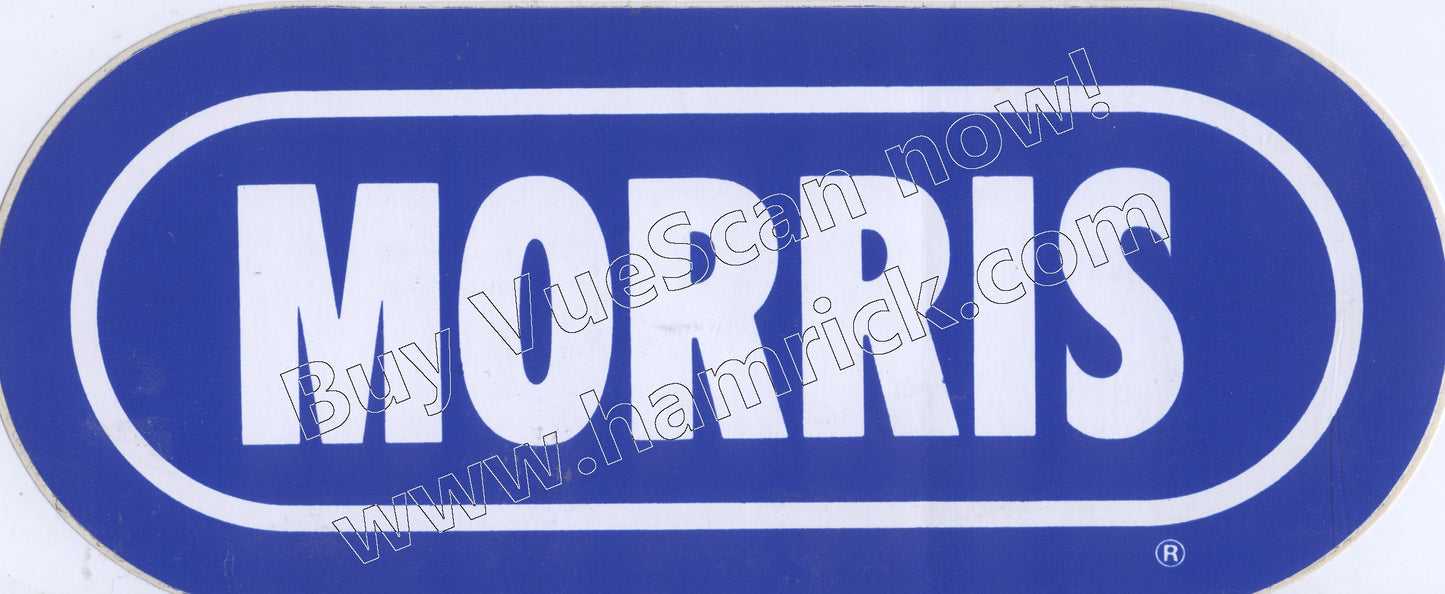 MORRIS Detroit tigers wrif vintage sticker